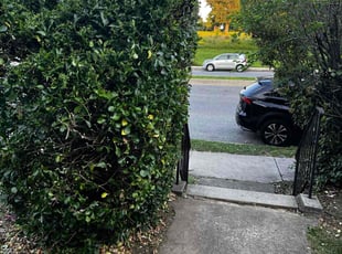 Bush Trimming by Johanna Moreno for Emrhys B. in Baltimore, MD