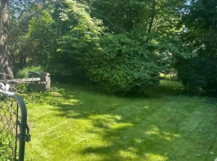 Angie S.'s Yard Cutting service result