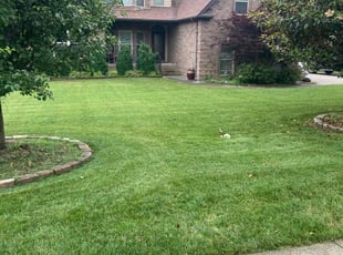 Donna P.'s Lawn Mowing Service service result