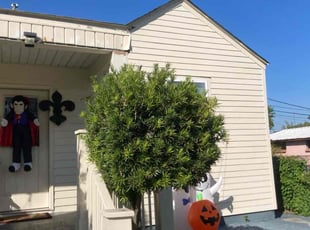 Bush Trimming by James Rayford for Mike M. in Jefferson, LA