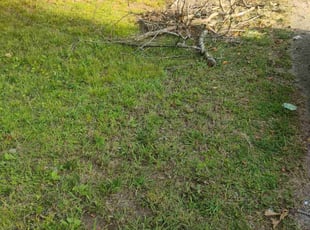 Cleanups by Charles Rice for Samantha W. in Birmingham, AL