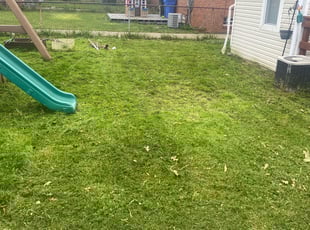 Cleanups by Rick Smith for Kenneth P. in Cleveland, OH