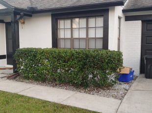 Bush Trimming by Chris Hoppe for Molly N. in Deltona, FL