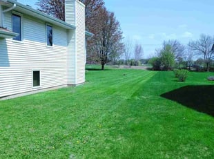 Tim B.'s Grass Cutting service result