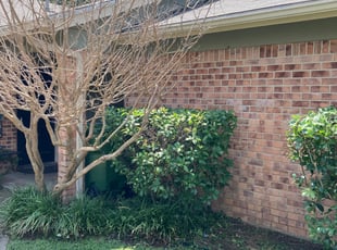 Bush Trimming by Brett Knapp for Kyle H. in Hurst, TX