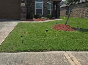 Ratisha L.'s Lawn Care service result