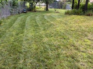Barbara O.'s Lawn Mowing Service service result
