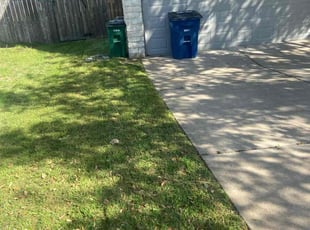 Maniya H.'s Lawn Maintenance service result
