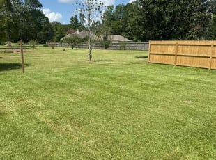 Brad B.'s Lawn Maintenance service result