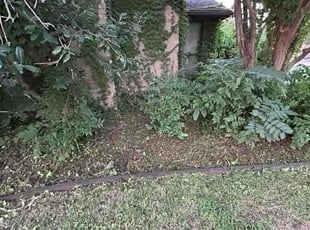 Cleanups by Julian Sanchez for Taylor S. in Plano, TX