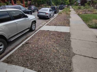 Weeding by Carlos Rocha for Emily S. in Denver, CO