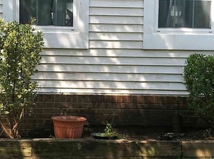 Bush Trimming by David Michaelangelo for Sara S. in Burke, VA