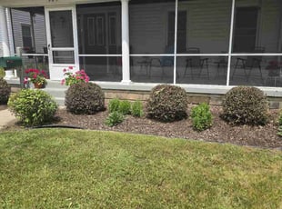 Bush Trimming by Jacob Jumper for Linda M. in Grand Rapids, MI
