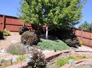 Bush Trimming by Joshua Hines for Lisa K. in Aurora, CO