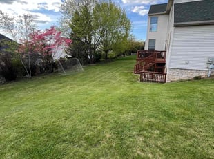 Kelly K.'s Lawn Mowing service result