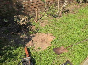 Landscaping by Hugo Melgar for Christy B. in Sugar Land, TX