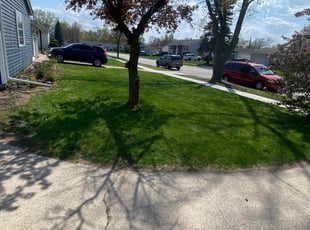 April H.'s Lawn Mowing Service service result
