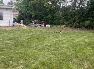 Weeding by Misael Gomez for Angela P. in Des Plaines, IL