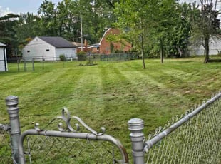 Abby W.'s Lawn Mowing service result