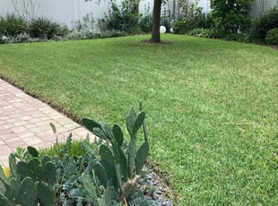 Giovonna P.'s Lawn Maintenance service result