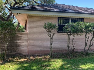 Bush Trimming by Rafael Contreras for Tauna W. in San Antonio, TX