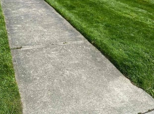 ROCHELLE H.'s Lawn Service service result