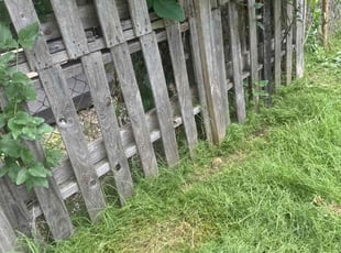 Leaf Removal by M D for JoAnn J. in Tulsa, OK