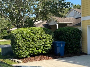 Bush Trimming by Oscar Cantos for Janet B. in Jacksonville, FL