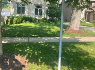Brian S.'s Lawn Maintenance service result
