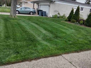 Julie L.'s Lawn Mowing service result