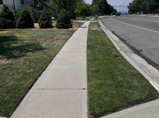 Amanda V.'s Lawn Mowing service result