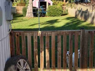 Victoria N.'s Lawn Mowing service result