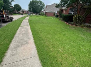 Dana W.'s Lawn Care service result