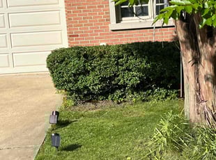 Bush Trimming by Adolfo Andrade Vigil for Shivani B. in Bethesda, MD