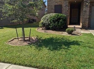 Cleanups by Yanet Maciel for Alex K. in Houston, TX