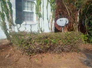 Bush Trimming by Virgil Greene for Kell W. in East Point, GA