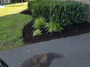 Cleanups by Larry Mulhall for Shaun S. in Gainesville, VA