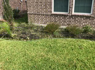 Weeding by Khalil Edwards for Bo L. in Spring, TX