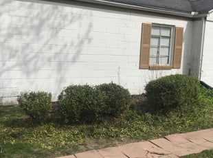 Bush Trimming by Katie Cliff for Cliff M. in Toledo, OH
