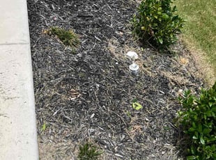 Weeding by Aldo Mancha for Cynthia A. in Marion, TX