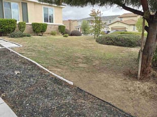 Bush Trimming by Jose Hernandez for Troy D. in Winchester, CA