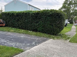 Bush Trimming by Nicole James for Kalon M. in Columbus, OH