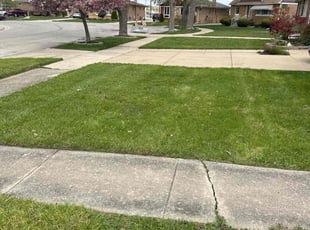 Sarah L.'s Lawn Mowing Service service result
