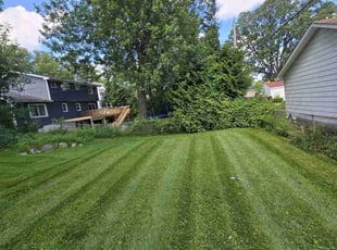 Tina N.'s Lawn Care service result