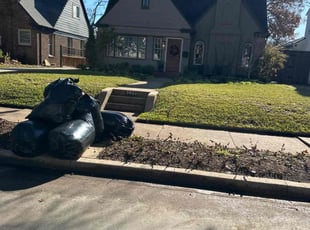 Leaf Removal by Elston Diaz for Justin C. in Dallas, TX