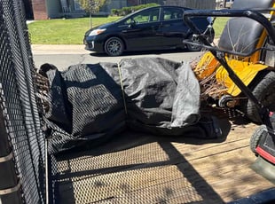 Cleanups by Jesse Nunez for Joelle S. in Centennial, CO