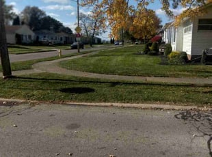 Ernest S.'s Lawn Care service result