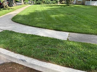 Ursula C.'s Lawn Service service result