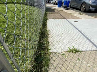 Valerie M.'s Lawn Service service result