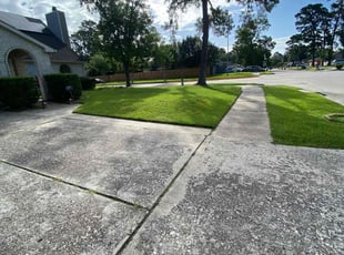 Grady D.'s Lawn Service service result